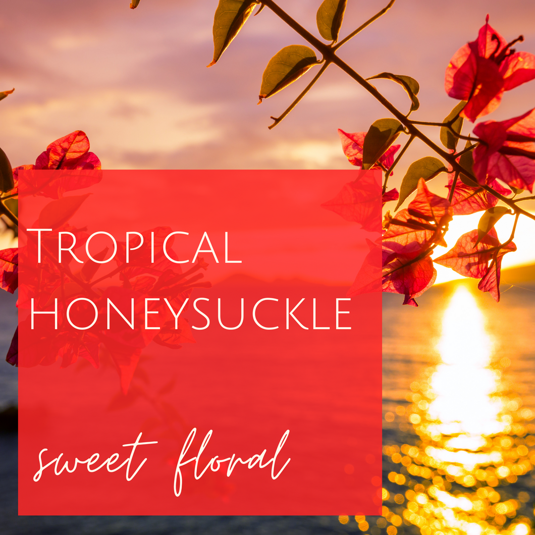 Tropical Honeysuckle
