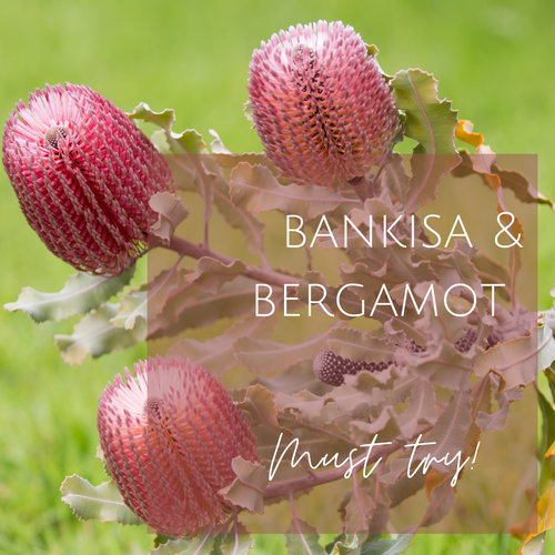 Banksia & Bergamot
