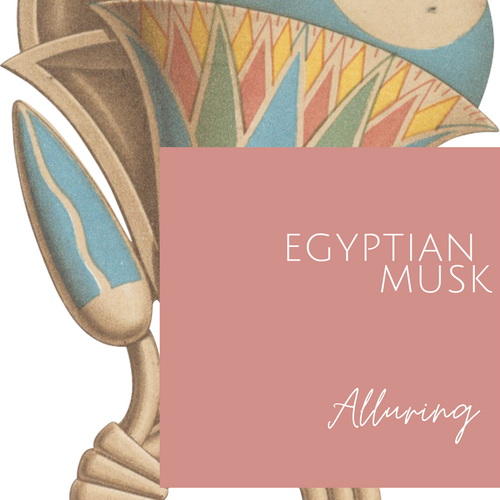 Egyptian Musk