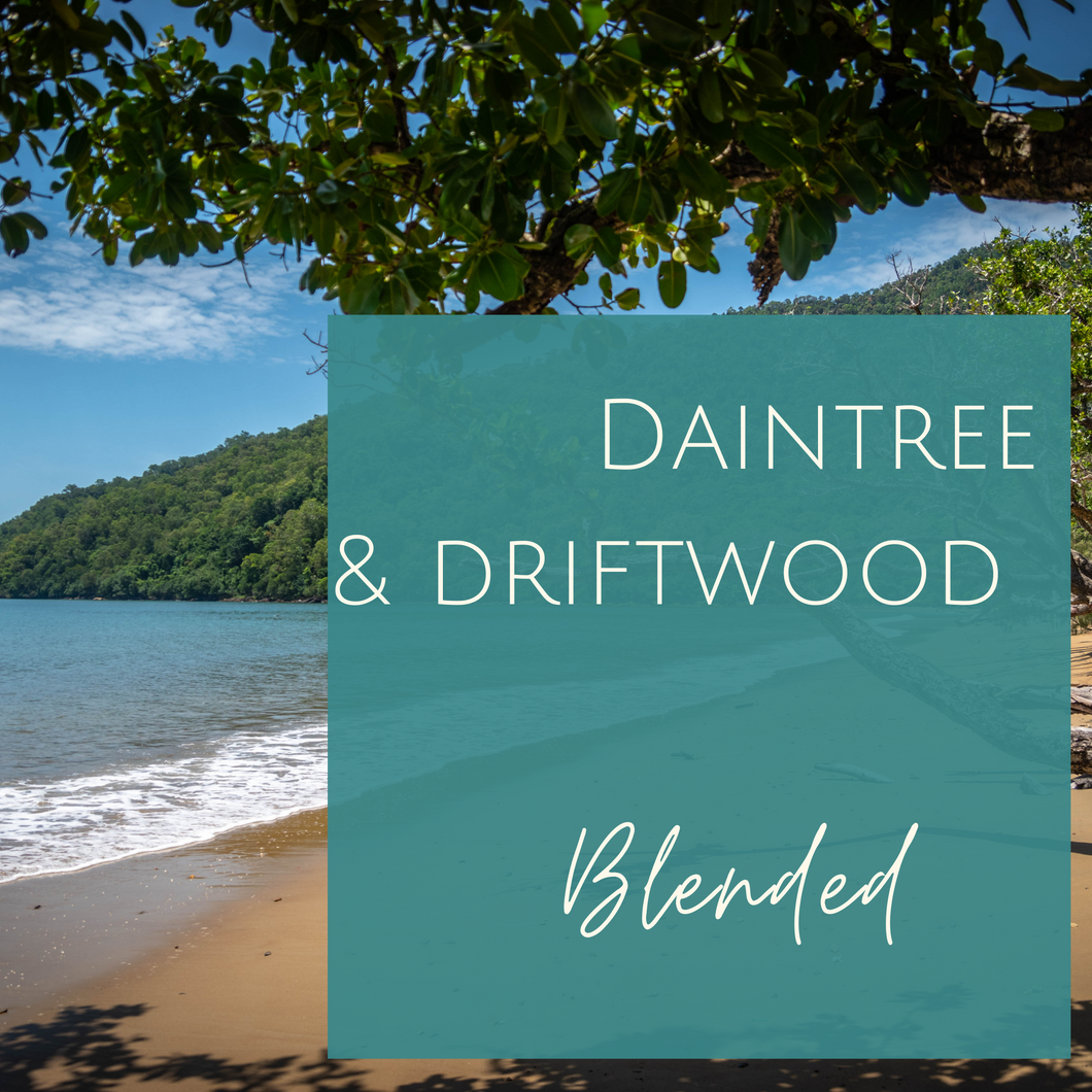 Daintree & Driftwood