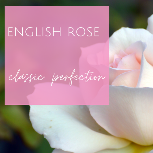 English Rose